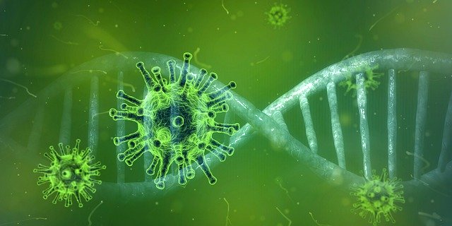 vir, Coronavirus